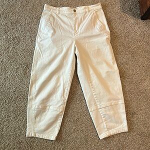 Everlane Utility Barrel Pants